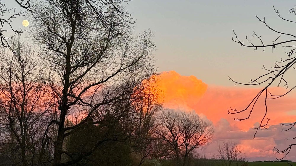 The View From Here Series #12