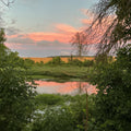 The View From Here Series #2